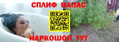 ECSTASY Пушкино