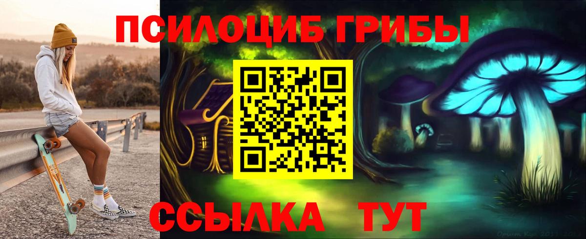 Галлюциногенные грибы Cubensis Сочи